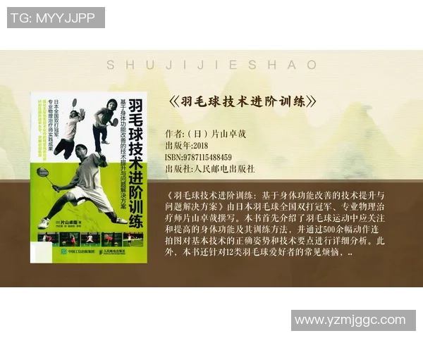 深入分析杭州羽毛球队控制打法的战术特点与应用策略