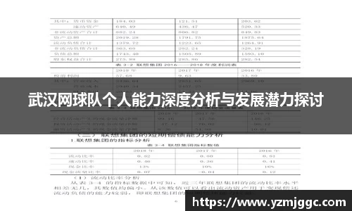 武汉网球队个人能力深度分析与发展潜力探讨